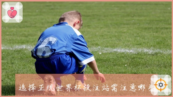 选择正规世界杯投注站需注意哪些风险控制措施和平台信誉判断