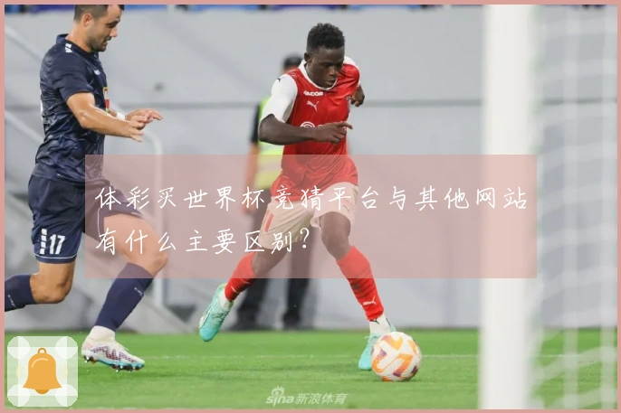体彩买世界杯竞猜平台与其他网站有什么主要区别？